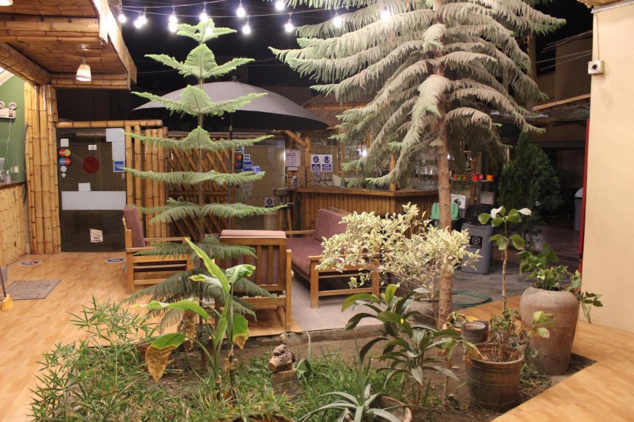 伊察 La Casa De Bamboo旅舍 外观 照片