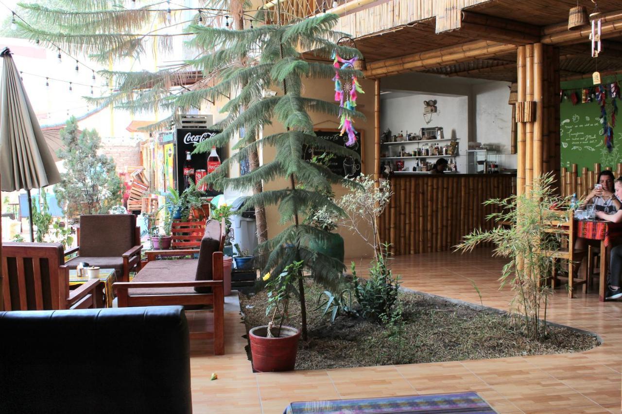 伊察 La Casa De Bamboo旅舍 外观 照片